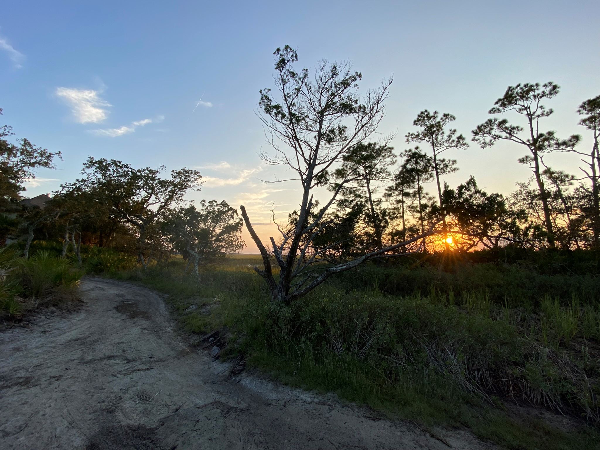 Around the Island 102