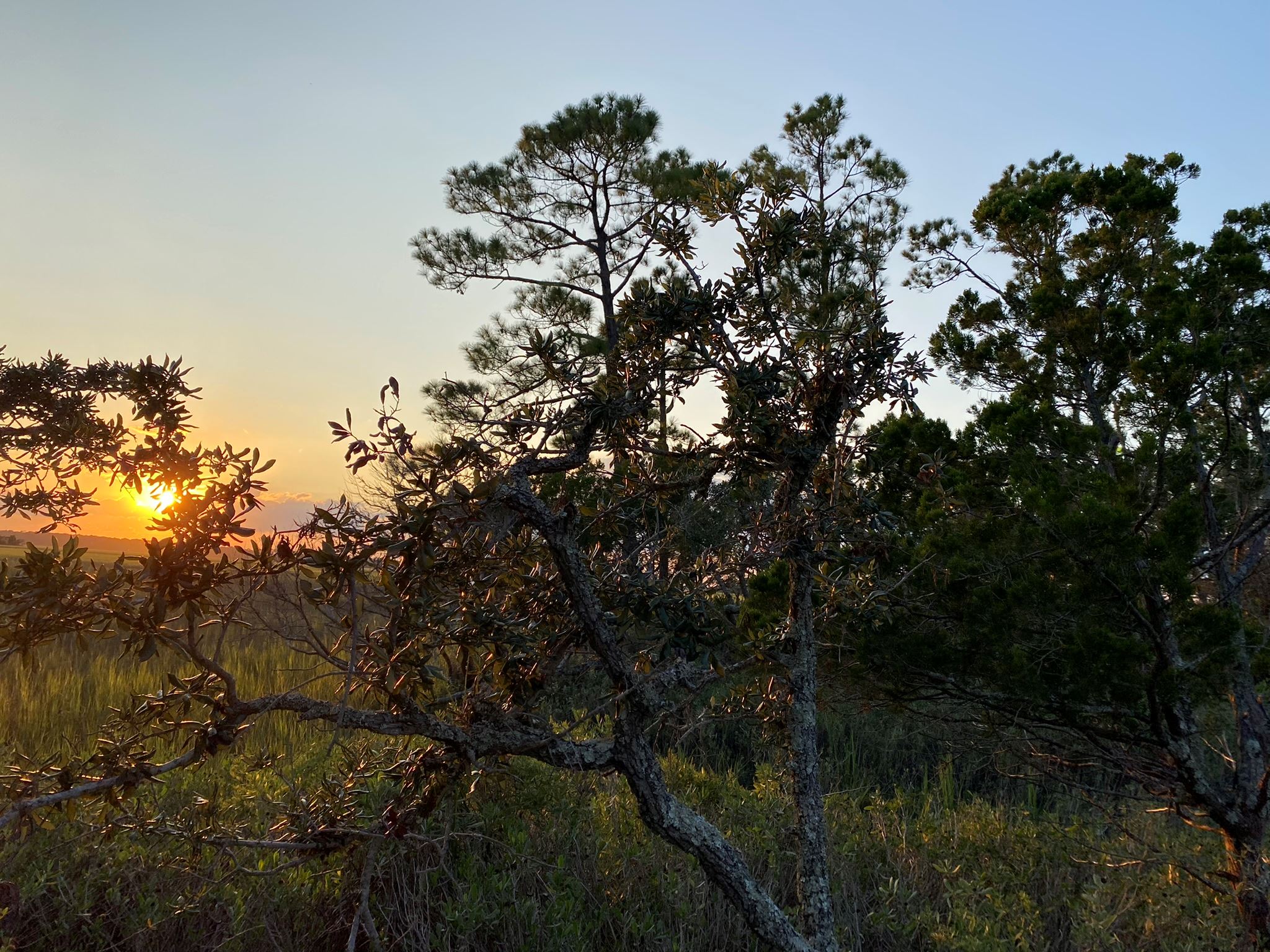 Around the Island 103