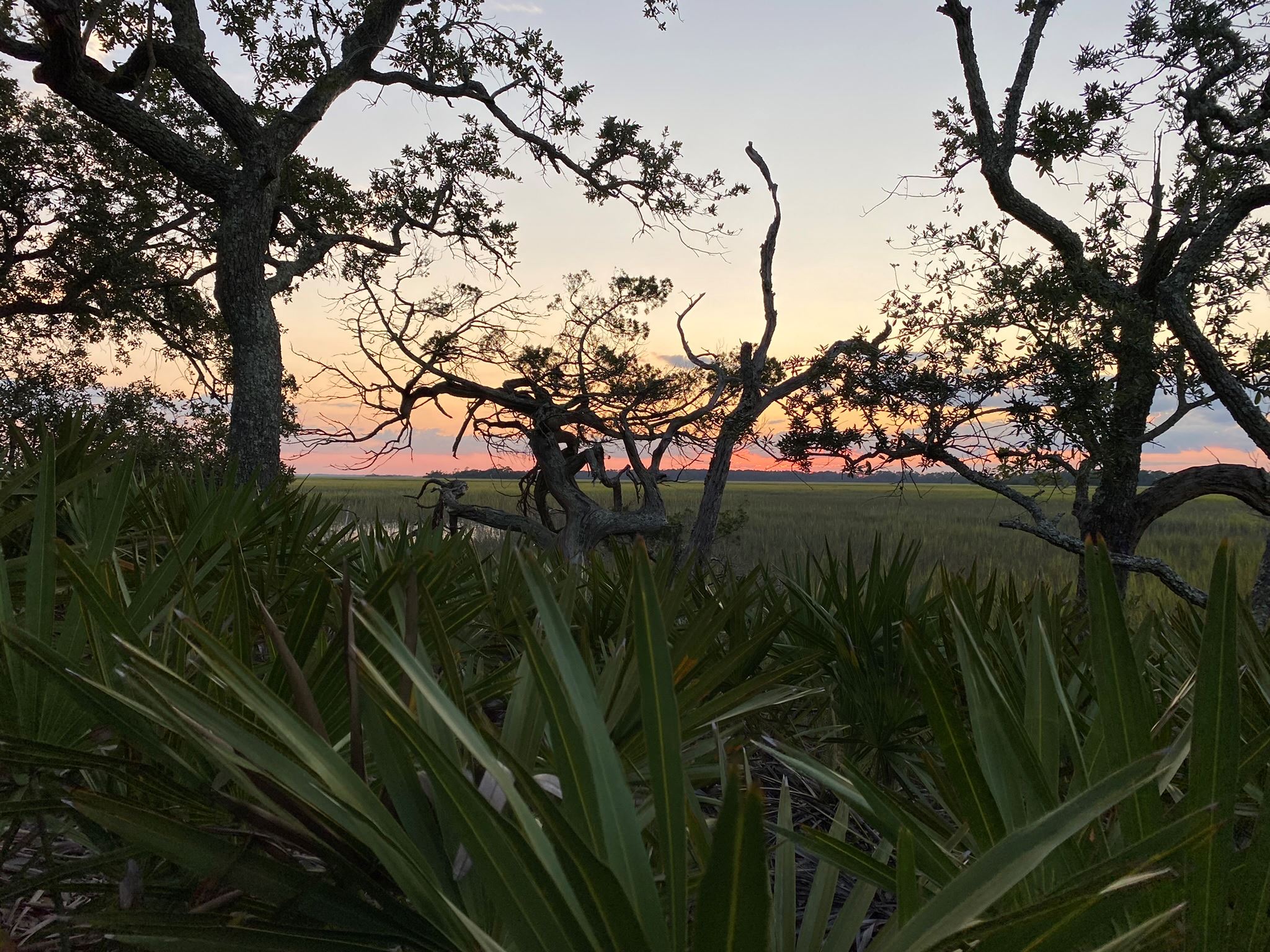 Around the Island 107