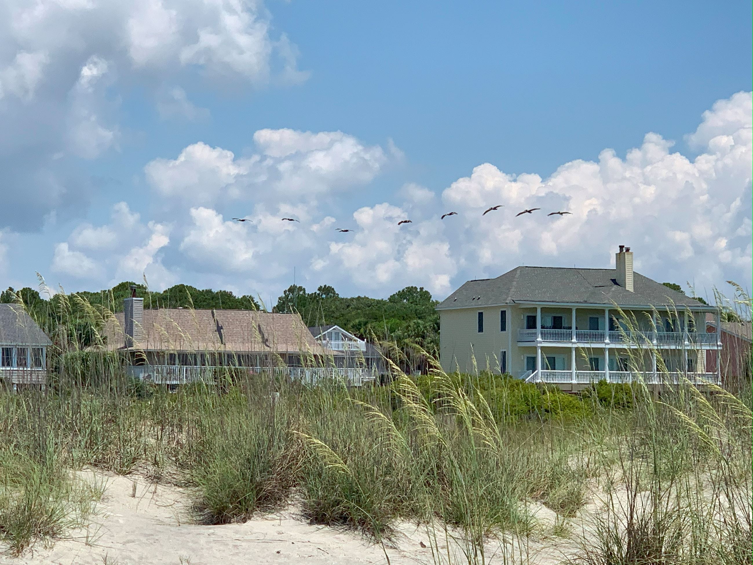 Around the Island 110